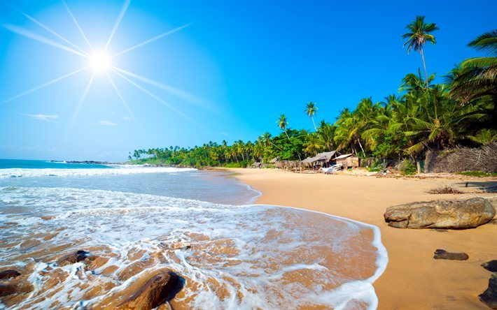 sea, tropical island, the Caribbean islands, beach, sand, palm trees, Caribbean