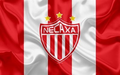 Necaxa FC, 4K, Mexican Football Club, emblem, Necaxa logo, sign, football, Primera Division, Mexico Football Championships, Aguascalientes, Mexico, silk flag