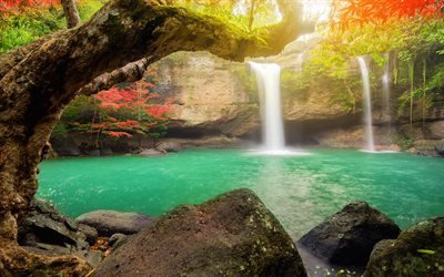 lago smeraldo, cascata, autunno, Thailandia, foresta, alberi rossi
