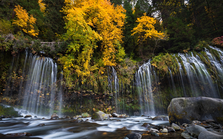 Mossbrae Cascate, Fiume Sacramento, autunno, cascata, foresta, California, USA, paesaggio autunnale, foglie gialle