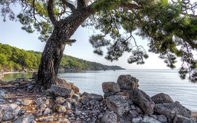 Phaselis, Antalya, en la costa, el mar mediterr&#225;neo, paisaje, verano, Turqu&#237;a