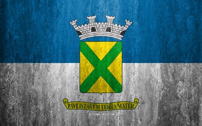 Flag of Santo Andre, 4k, stone background, Brazilian city, grunge flag, Santo Andre, Brazil, Santo Andre flag, grunge art, stone texture, flags of brazilian cities