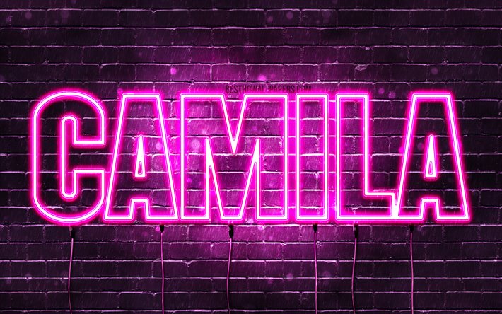 Camila, 4k, wallpapers with names, female names, Camila name, purple neon lights, horizontal text, picture with Camila name