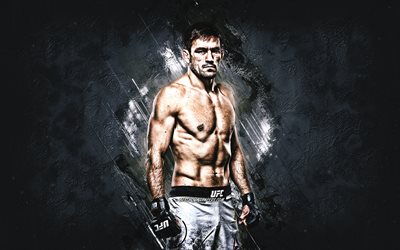 Demian Maia, UFC, MMA, brazilian fighter, portrait, gray stone background