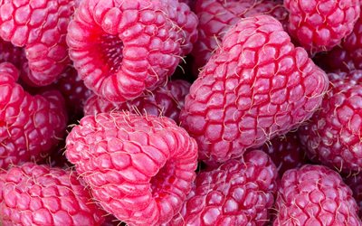raspberry background, berry texture, raspberry texture, background with raspberry
