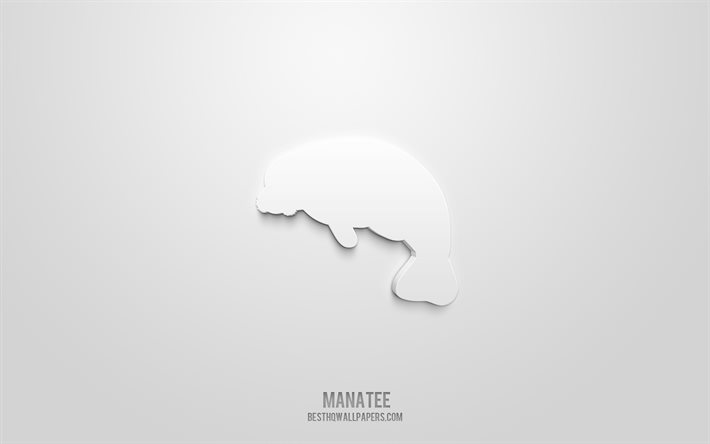 رمز Manatee 3d, خلفية بيضاء, رموز ثلاثية الأبعاد, رمادي, أيقونات الحيوانات, أيقونات ثلاثية الأبعاد, علامة الماناتي, أيقونات حيوانات ثلاثية الأبعاد