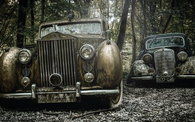 terk edilmiş eski arabalar, eski arabalar, araba d&#246;k&#252;m&#252;, terk edilmiş arabalar, paslı arabalar