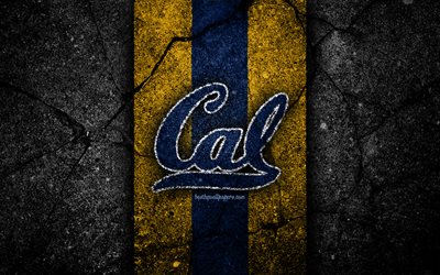 California Golden Bears, 4k, american football team, NCAA, yellow blue stone, USA, asphalt texture, american football, California Golden Bears logo