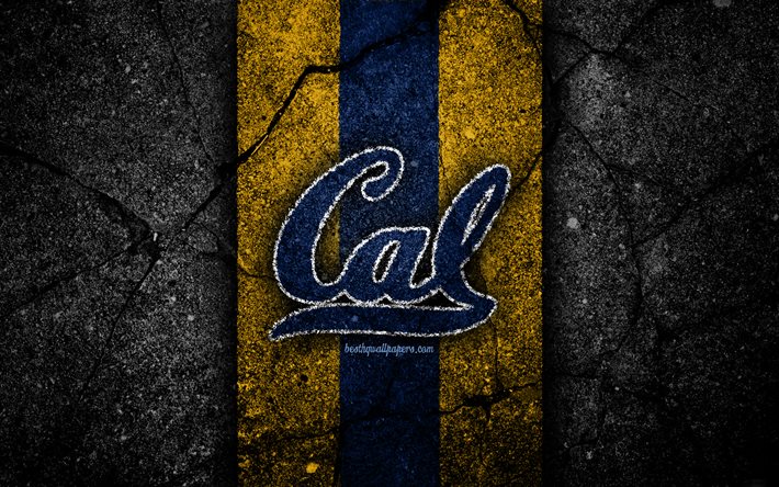 California Golden Bears, 4k, &#233;quipe de football am&#233;ricain, NCAA, pierre bleue jaune, USA, texture asphalte, football am&#233;ricain, logo California Golden Bears