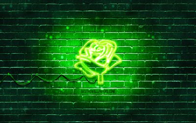 Green Rose neon icon, 4k, green background, neon symbols, Green Rose, neon icons, Green Rose sign, neon flowers, nature signs, Green Rose icon, nature icons
