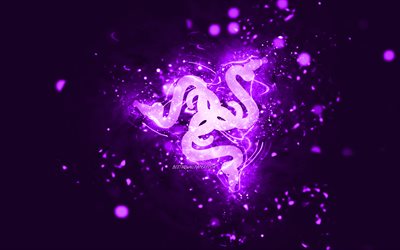 razer violetlogo, 4k, violette neonlichter, kreativer, violetter abstrakter hintergrund, razer-logo, marken, razer