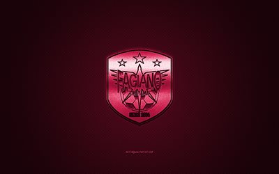 Fagiano Okayama, club de football japonais, logo violet, fond en fibre de carbone violette, J2 League, football, Okayama, Japon, logo Fagiano Okayama