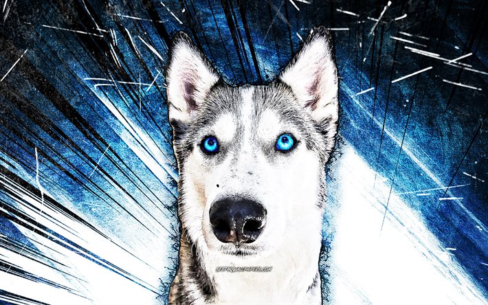 4k, Siberian Husky, arte grunge, Husky con gli occhi azzurri, animali carini, animali domestici, cani, raggi astratti blu, Husky 4K, husky, husky siberian astratto