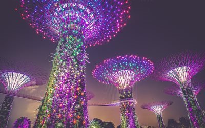 حدائق الخليج, 4K, ليلة, الإضاءة, مارينا باي, سنغافورة