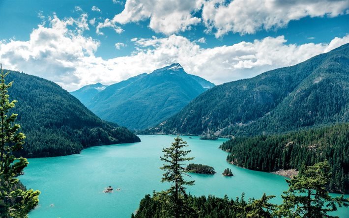 montagna, foresta, lago, paesaggio, Ross Lake, Washington, USA