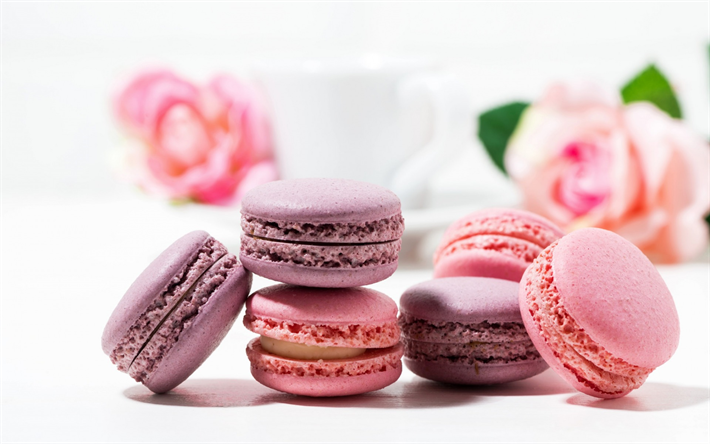 pink macaroons, biscuits, sweets, pastries, colorful biscuits