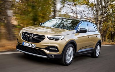4k, Opel Grandland X, carretera, 2018 autos, crossovers, los coches alemanes, Opel