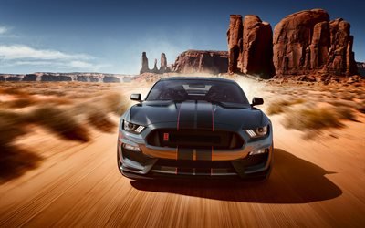Ford Mustang, 2019, Shelby, GT350, deserto, areia, EUA, American sports car, Ford
