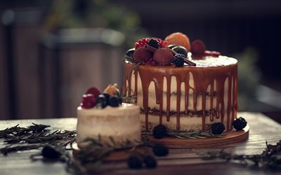 pastel con crema de chocolate, frutas, tarta de queso, fresas, dulces, pasteles