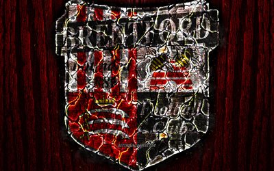 brentford, versengt, logo, meisterschaft, rot-holz-hintergrund, english football club, brentford fc, grunge, fu&#223;ball, brentford logo -, feuer-textur, england