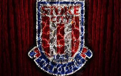 Stoke City, scorched logo, Championship, red wooden background, english football club, Stoke City FC, grunge, football, soccer, Stoke City logo, fire texture, England