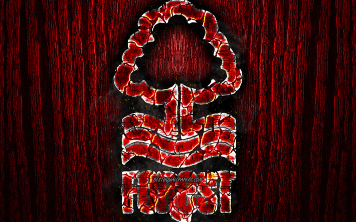 Nottingham Forest, poltetun logo, Mestaruus, punainen puinen tausta, englannin football club, Nottingham Forest FC, grunge, jalkapallo, Nottingham Forest logo, palo-rakenne, Englanti