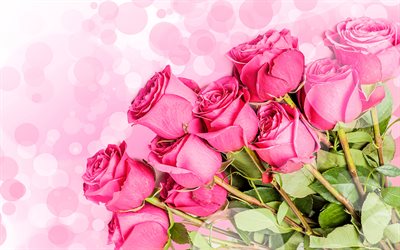 roxo rosas, 4k, buqu&#234;, flores cor de rosa, macro, flores roxas, close-up, rosas, buqu&#234;-de-rosa