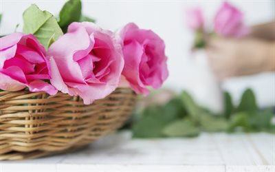 rosas cor-de-rosa, gotas de &#225;gua, buqu&#234; de rosas, p&#233;talas de rosa cor-de-rosa, flores em uma cesta, rosas