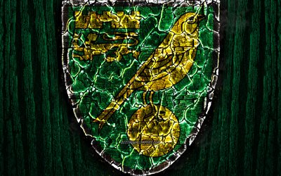 Norwich City, scorched logo, Championship, green wooden background, english football club, Norwich City FC, grunge, football, soccer, Norwich City logo, fire texture, England