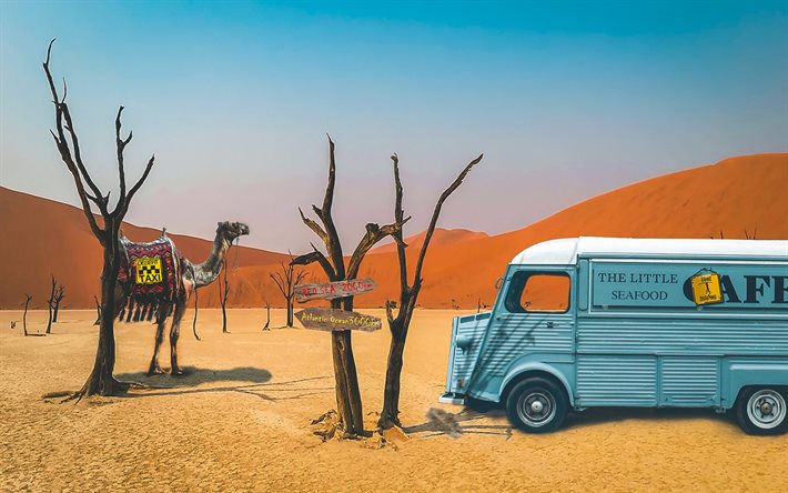 deserto, dune di sabbia, concetti di viaggio, alberi secchi, cammello, puntatori