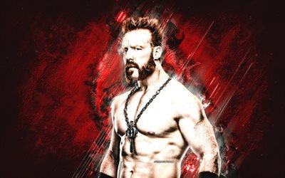 Sheamus personnalis&#233;, WWE, portrait, fond de pierre rouge, champion de la WWE, World Wrestling Entertainment