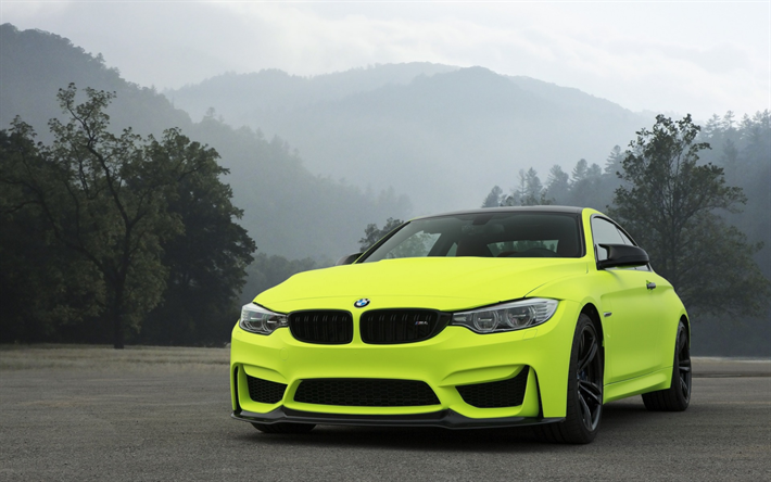 BMW M4, 2018, F82, parlak yeşil spor coupe, dış cephe, &#246;nden g&#246;r&#252;n&#252;m, Alman otomobil, BMW