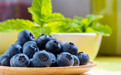 blueberries, berries, healthy food, blueberries in a plate, macro