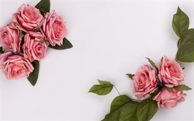 rosas cor-de-rosa, decora&#231;&#227;o floral, flores cor de rosa, rosas