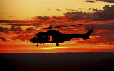 Eurocopter EC725 Caracal, military helicopter, Brazilian Air Force, Sunset, Cachimbo Airport, Para, Brazil, Airbus Helicopters