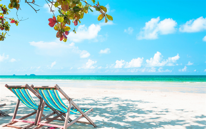 costa do oceano, praia, ilha tropical, chaise-longues, relaxamento, relaxar conceitos, viagens de ver&#227;o
