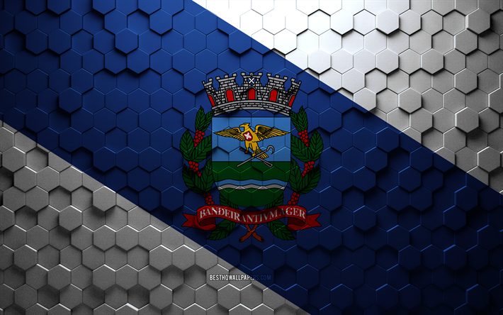 Flag of Ribeirao Preto, honeycomb art, Ribeirao Preto hexagons flag, Ribeirao Preto 3d hexagons art, Ribeirao Preto flag