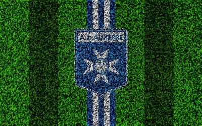 Auxerre FC, 4k, logo, football lawn, french football club, blue white lines, grass texture, Ligue 2, Auxerre, France, football, soccer field, AJ Auxerre, Association de la Jeunesse Auxerroise