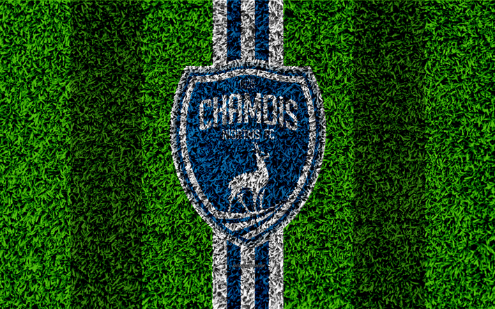 Chamois Niortais FC, 4k, logo, football lawn, french football club, white blue lines, grass texture, Ligue 2, Niort, France, football, soccer field
