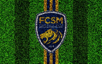 FC Sochaux-Montbeliard, 4k, logo, football lawn, french football club, blue yellow lines, grass texture, Ligue 2, Montb&#233;liard, France, football, soccer field, Sochaux FC