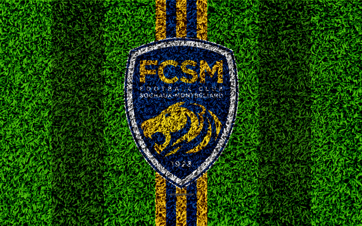 FC Sochaux-Montbeliard, 4k, logotipo, f&#250;tbol de c&#233;sped, club de f&#250;tbol ingl&#233;s, amarillo y azul l&#237;neas, el c&#233;sped de textura, de la Ligue 2, Montb&#233;liard, Francia, f&#250;tbol, campo de f&#250;tbol, el FC Sochaux
