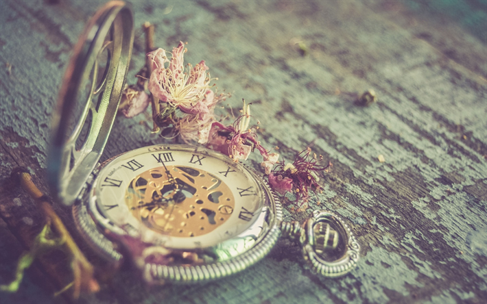 old pocket watches, time concepts, dried flowers, watches, old wooden boards