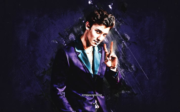 Shawn Mendes, canadian singer, portrait, purple stone background, canadian stars, popular singers, world star