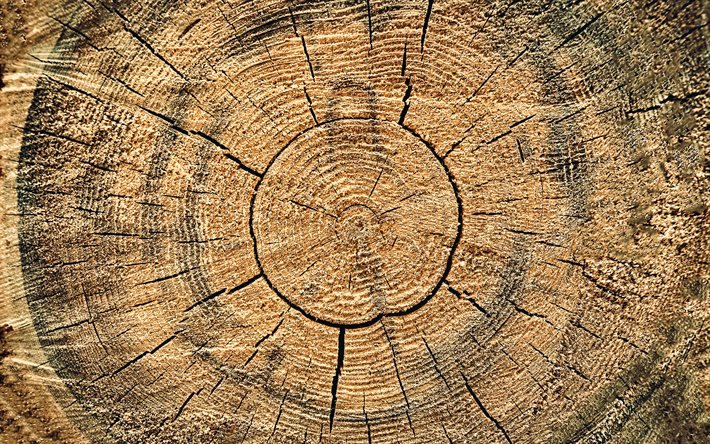 4k, s&#228;r&#246;ill&#228; puinen rakenne, py&#246;re&#228; puinen rakenne, ruskea puinen taustalla, ruskea puu, puinen tekstuurit, ruskea taustat, puinen taustat