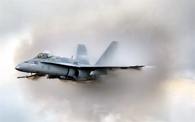 McDonnell Douglas FA-18A Hornet, attack aircraft, American Army, US Navy, McDonnell Douglas, combat aircraft, US Army