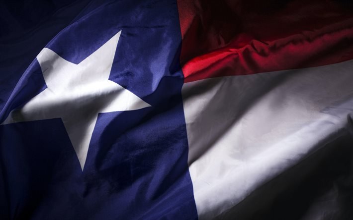 Texas flag, American state, silk fabric, flag of Texas, waves fabric texture, Texas, USA