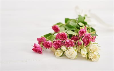 rosas cor-de-rosa, rosas brancas, lindas flores, fundo com rosas, buqu&#234;, rosas em um fundo branco, buqu&#234; de rosas