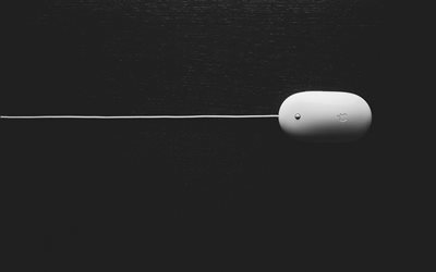Apple Mouse, computer mouse on a gray background, technology, white mouse, Apple Wireless Magic Mouse