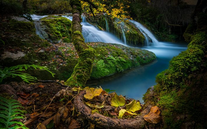 Cascada de Saseta, cachoeira, pedras, musgo verde, bela cachoeira, Burgos, Espanha