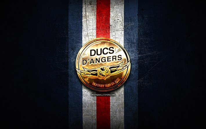 Ducs DAngers, gyllene logotyp, Ligue Magnus, bl&#229; metall bakgrund, franska hockeylaget, franska hockey ligan, Ducs DAngers logotyp, hockey